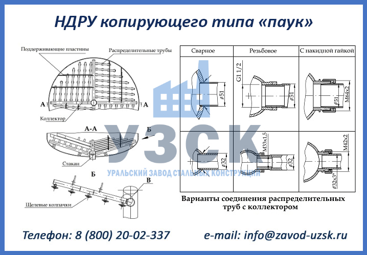 НДРУ паук